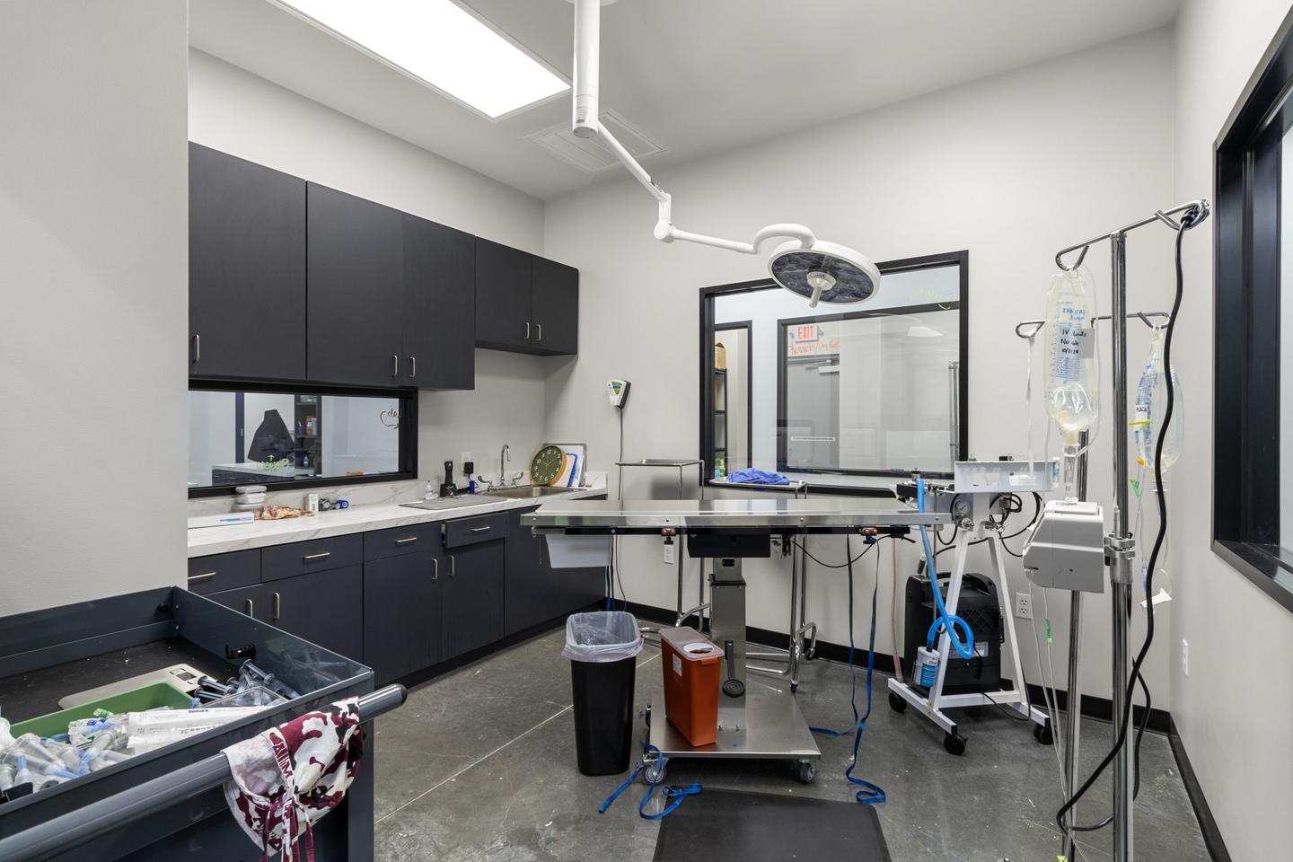 Veterinary surgery with an overhead operating lamp, a stainless table and wall mounted monitors